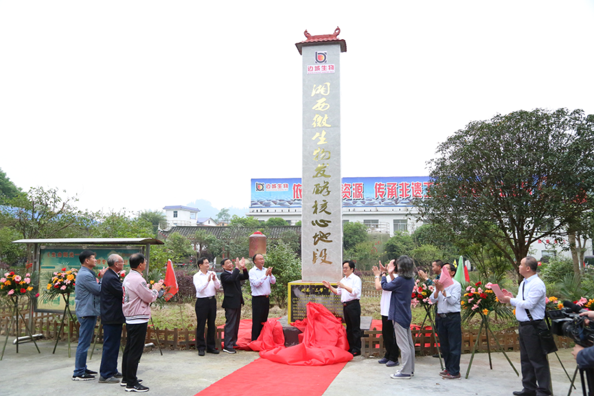 https://img3.chinadaily.com.cn/images/202604/17/69e1e384a310942c0d5f68fc.png